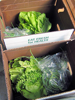 Boxes of fresh produce ready for delivery